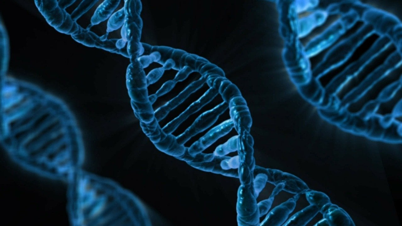 AncestryDNA vs 23andMe Comparison