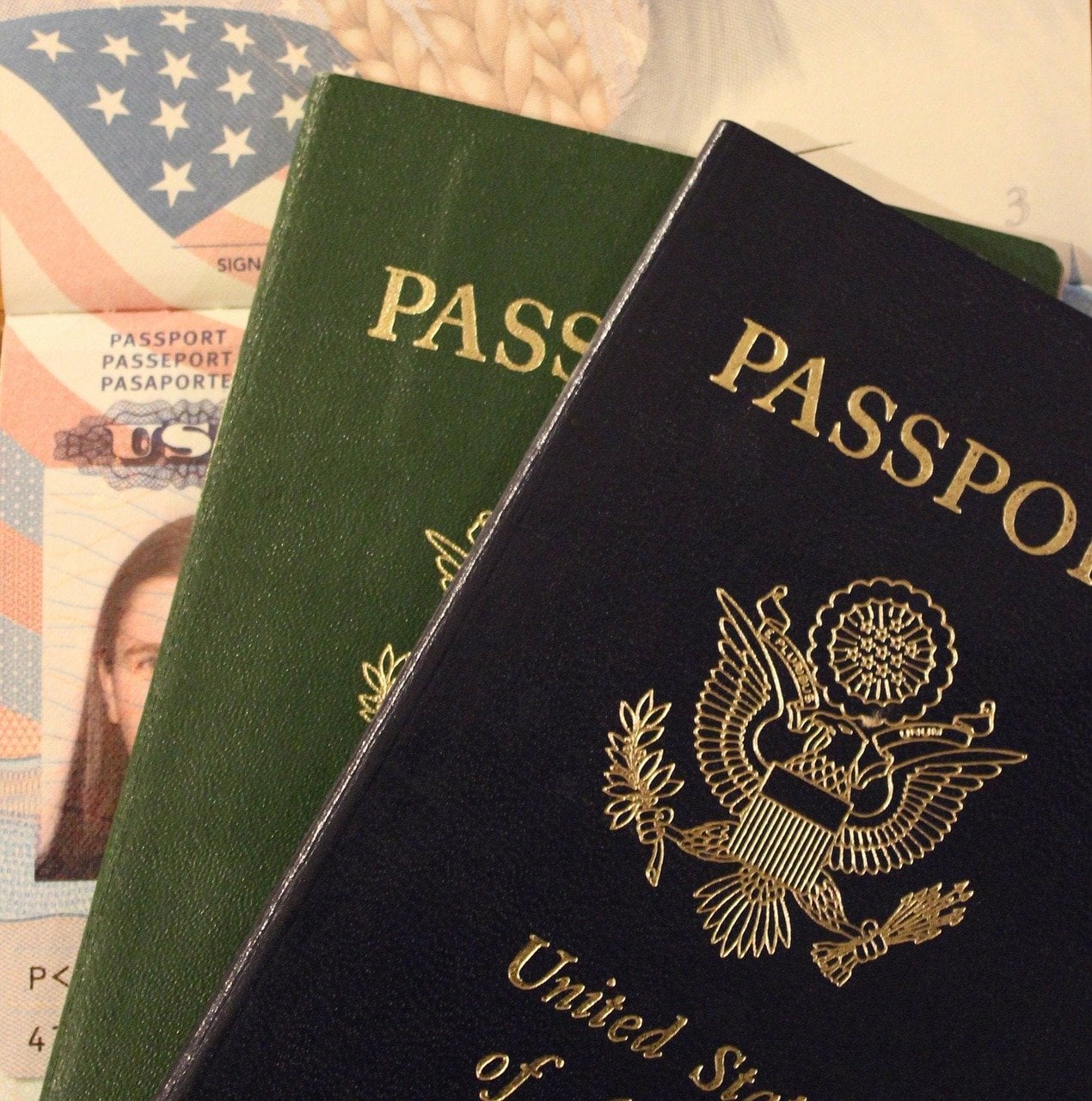 Suspending New Work Visas birth tourism H-1B