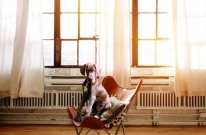 Heating System Trends
