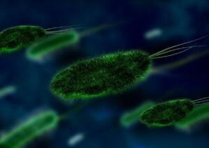 nCoV Outbreak