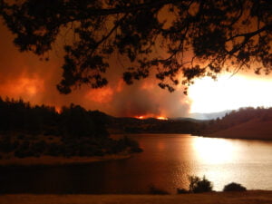 wild horses wildfire and toxic smoke