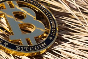 Bitcoin Price boost Bitcoin whitepaper BitMEX Case Gold Bitcoin Correlation