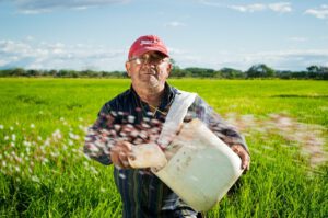 FFWR program Coronavirus stimulus checks to workers,