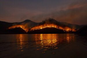 New South Wales Wildfire