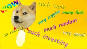 Dogecoin Elon Musk DOGE Dogecoin Price value