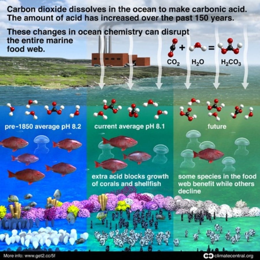 Ocean Acidification 