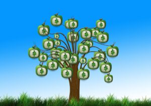 N&I Green Savings Bonds