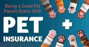 Pet Insurance
