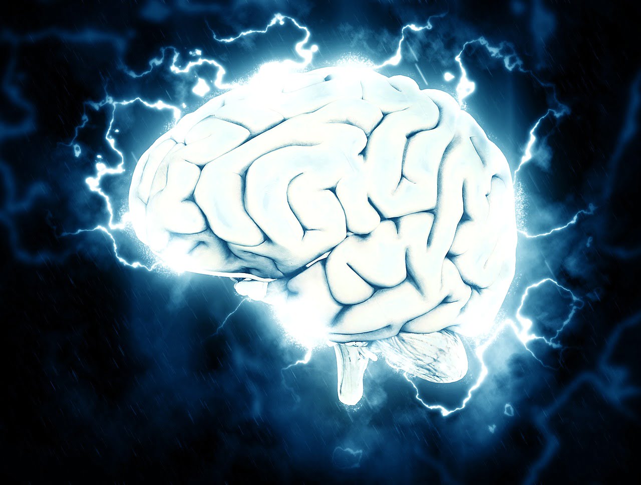 Neuroscience Language Acquisition Brain Health