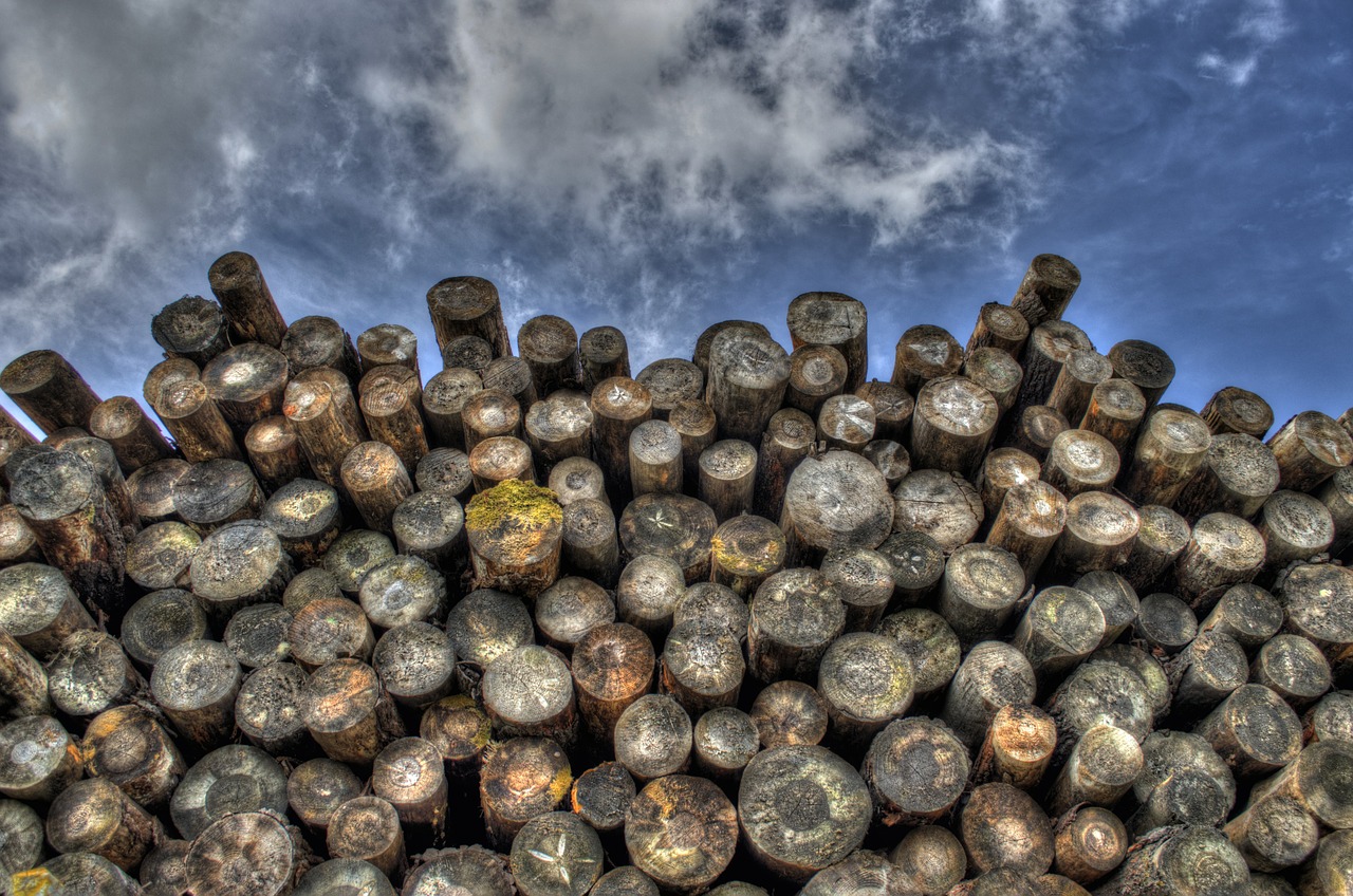 Lumber Stocks