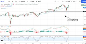 Dividend Stocks