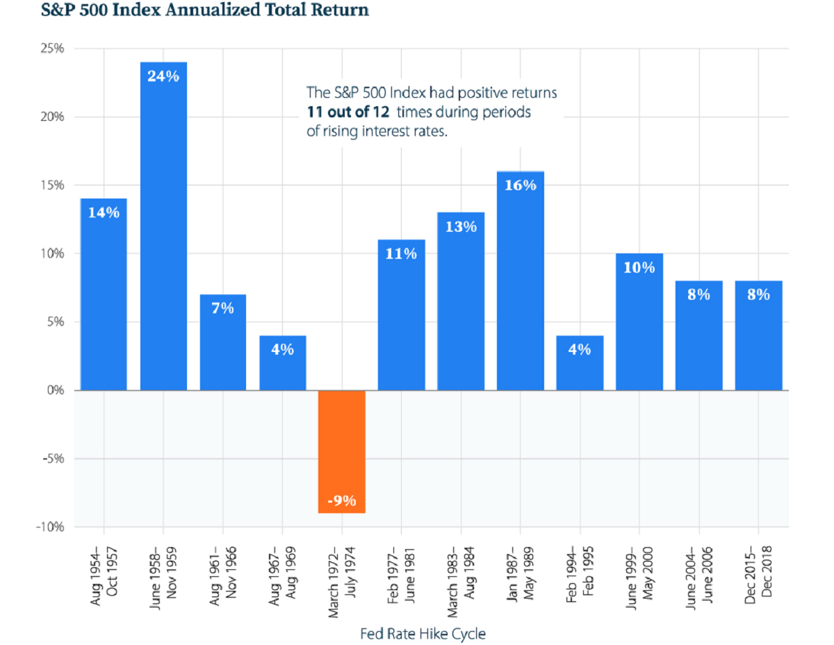 Bear Market Opportunities