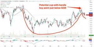 Can Tractor Supply Stock Surge Past Cup-With-Handle Buy Point?