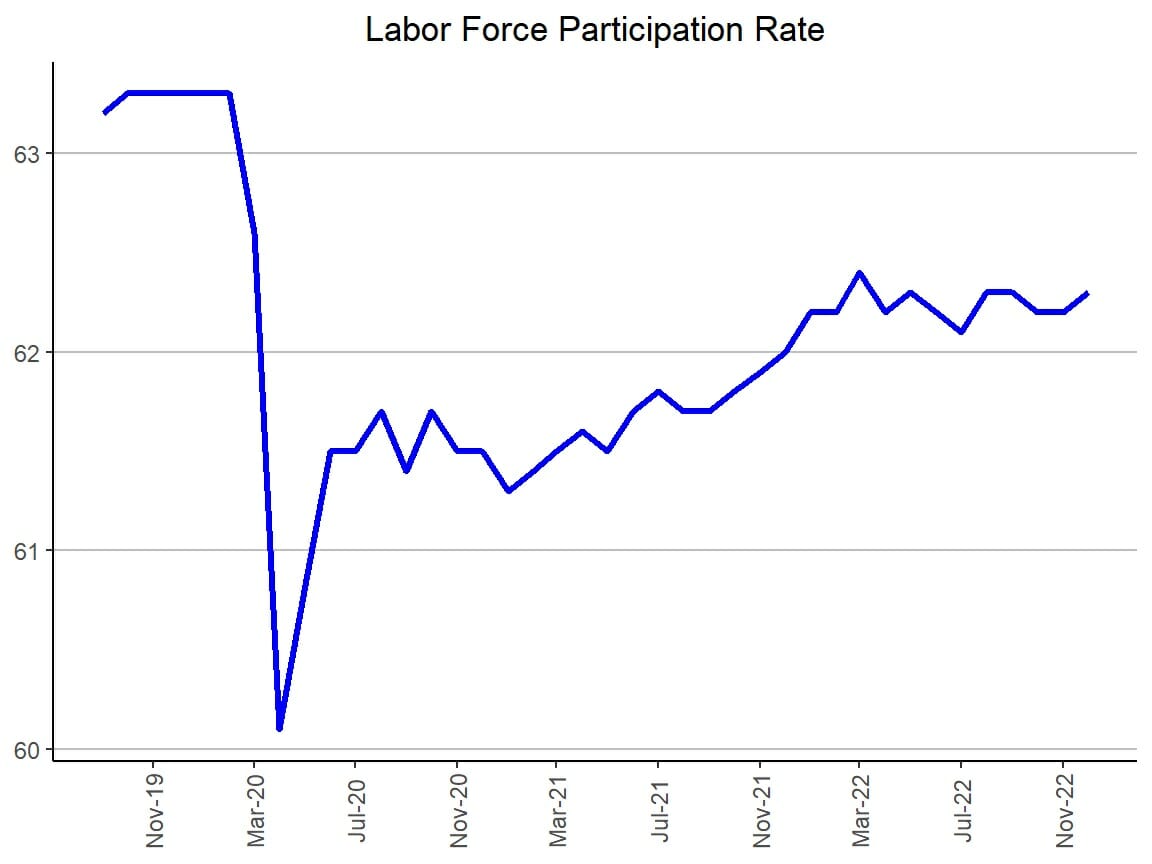 labor force participation