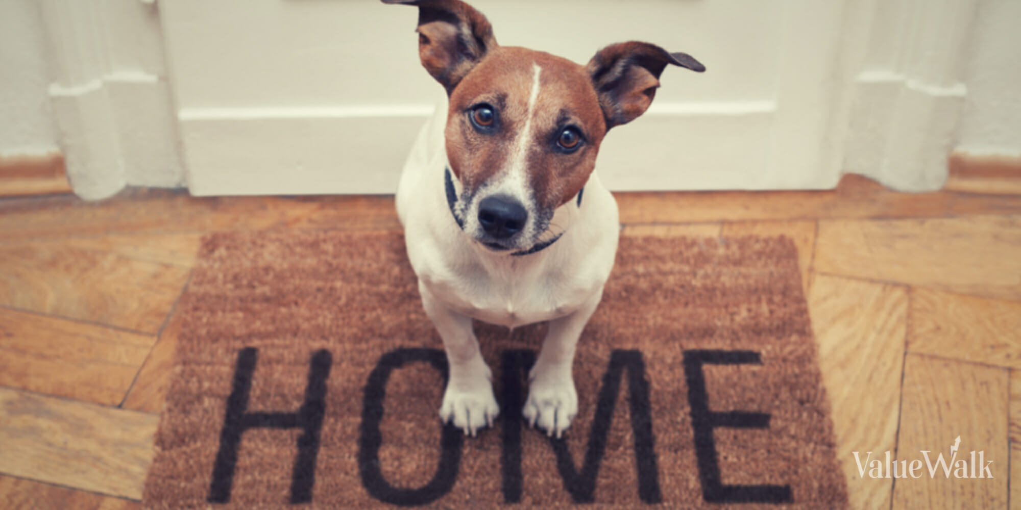 Ohio Tax Credit for Pet Friendly Landlords
