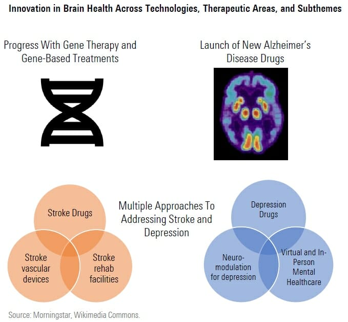 Brain Health 