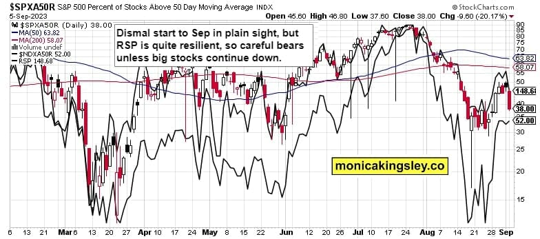 S&P 500 breadth