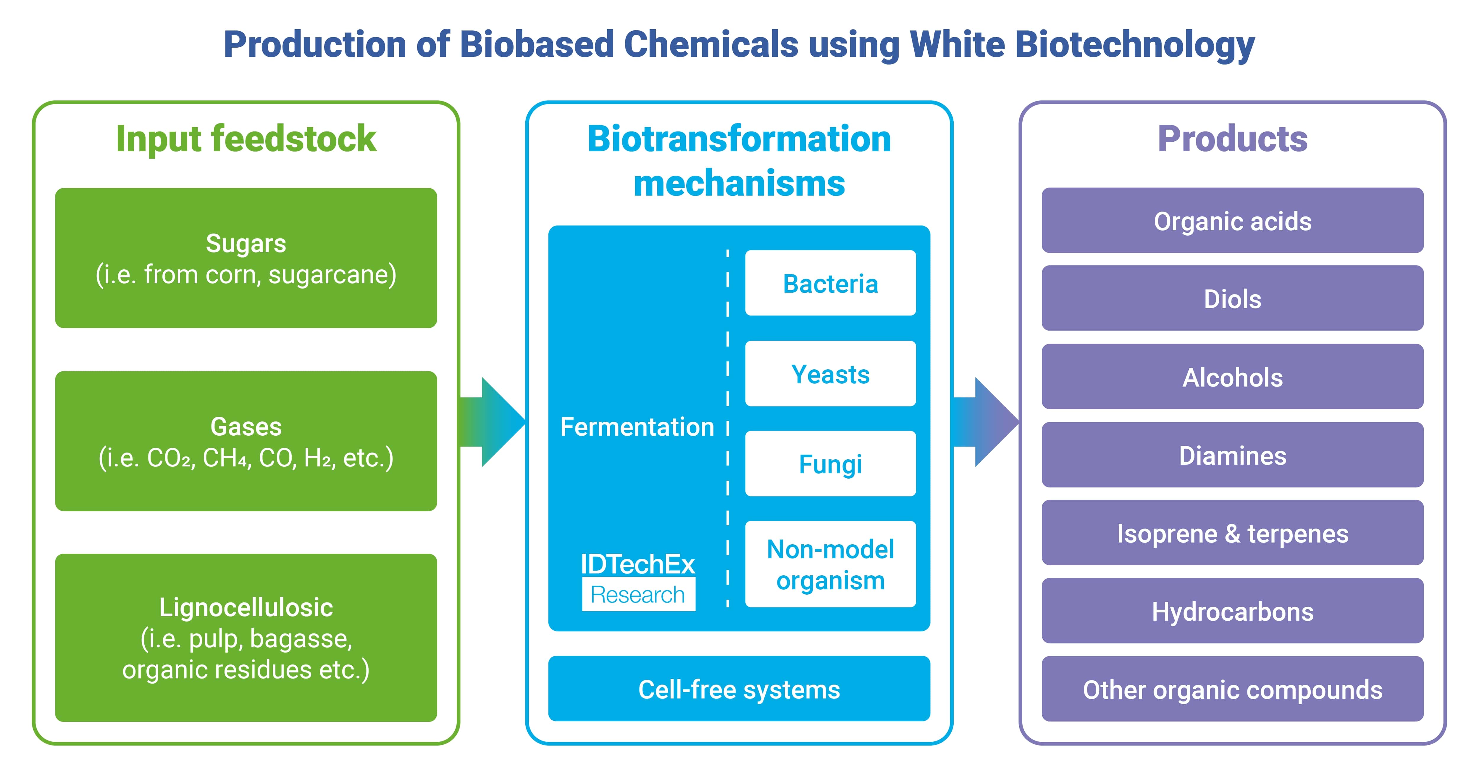 White Biotechnology