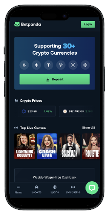 Betpanda - best crash gambling site for anonymous play