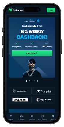 Betpanda homepage screenshot for tether casinos