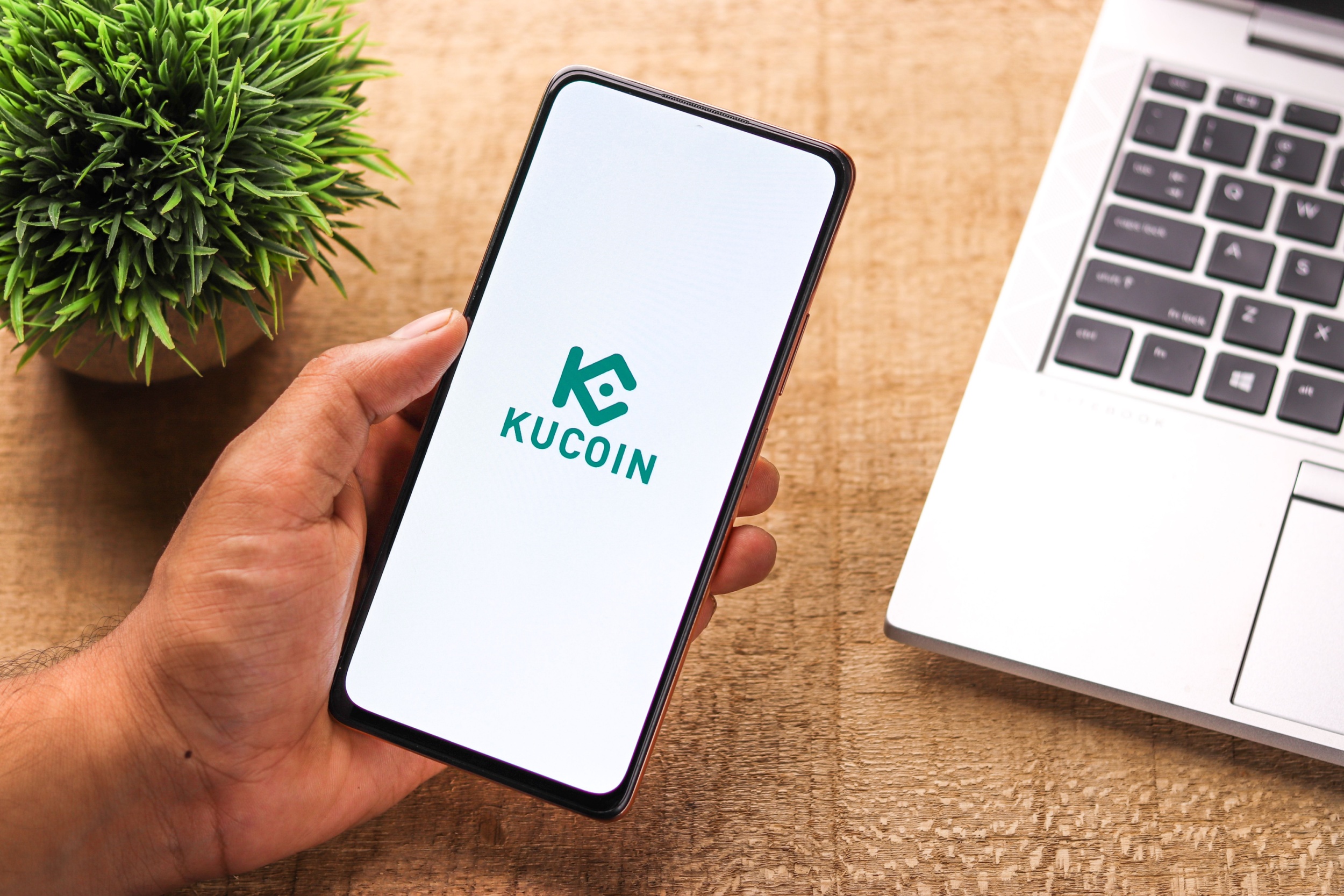 kucoin listings