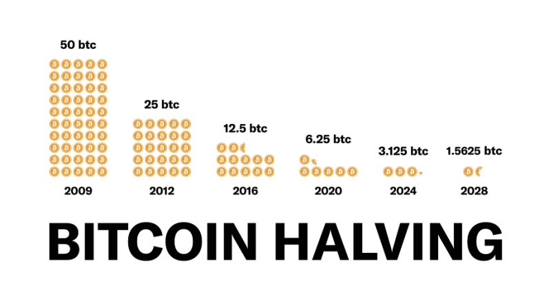 the bitcoin halving history