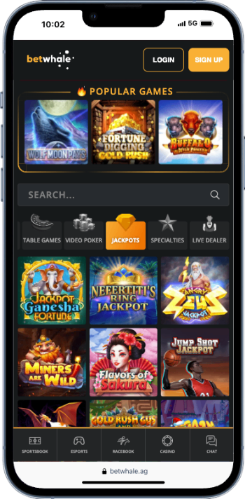 betwhale - no limit casino