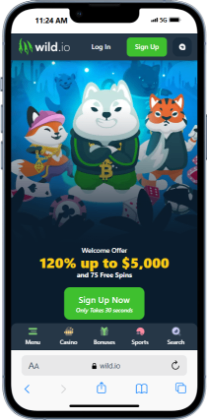 Wild.io homepage