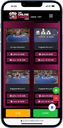 The Online Casino - best live dealer baccarat casino