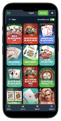 Wild.io - best baccarat casino for bonuses