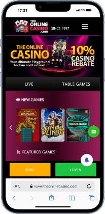 The Internet casino - best high roller casino for table games