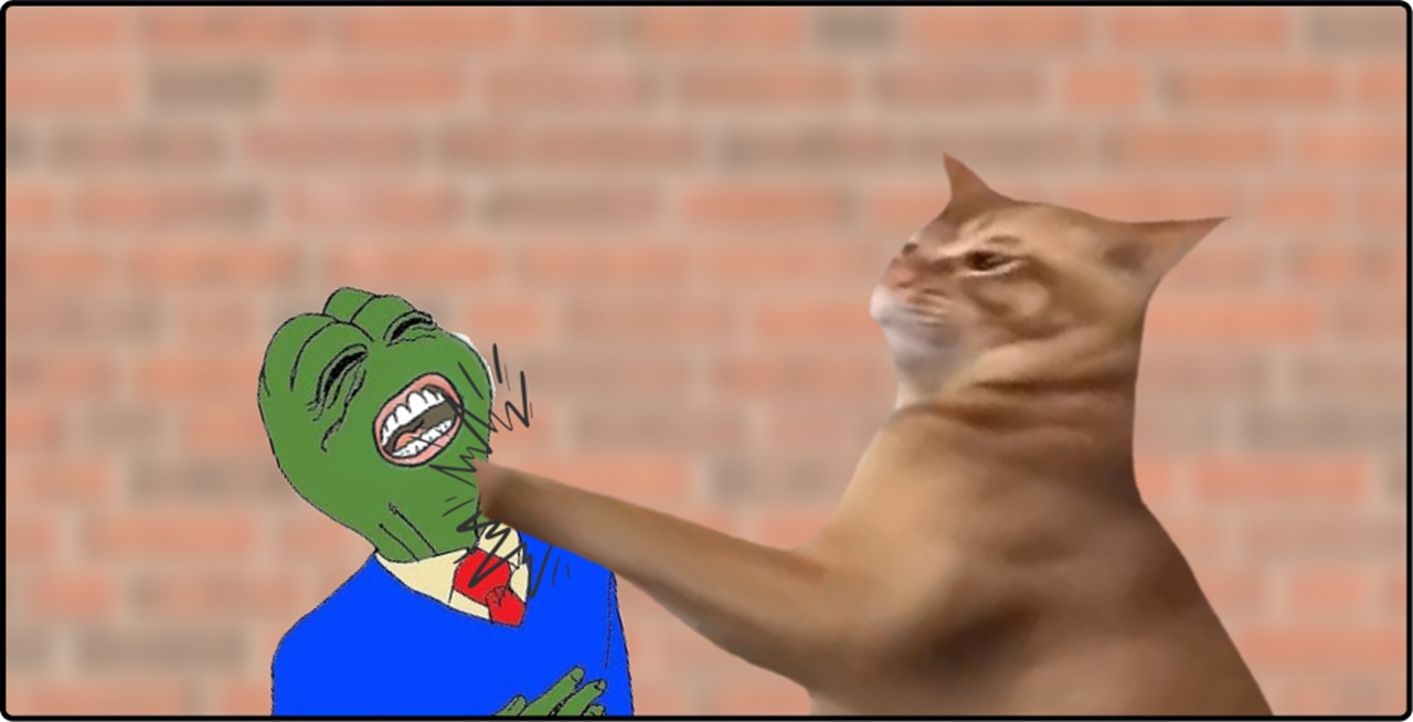 catslap price prediction