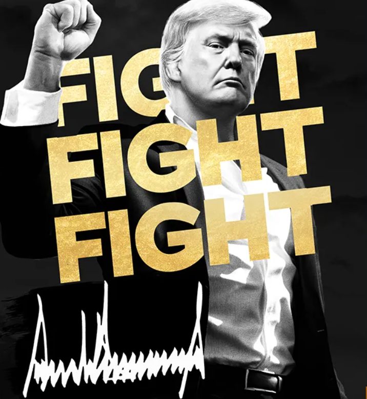 OFFICIAL TRUMP Fight Fight Fight Graphic