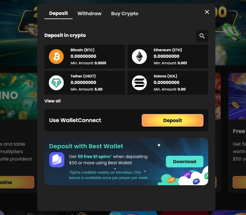 WSM Casino deposit page with available payment methods