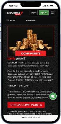 Everygame VIP Program