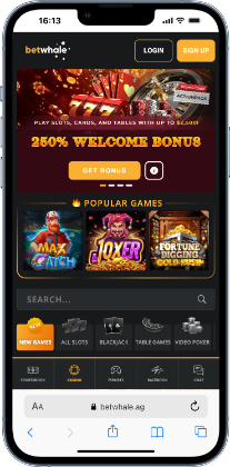 BetWhale - best wire transfer casino