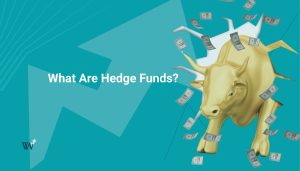What Are Hedge Funds