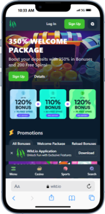 Wild.io promotions page