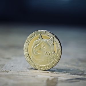 Sarah Palin Net Worth: A Glimpse into Her Net Worth and Earnings